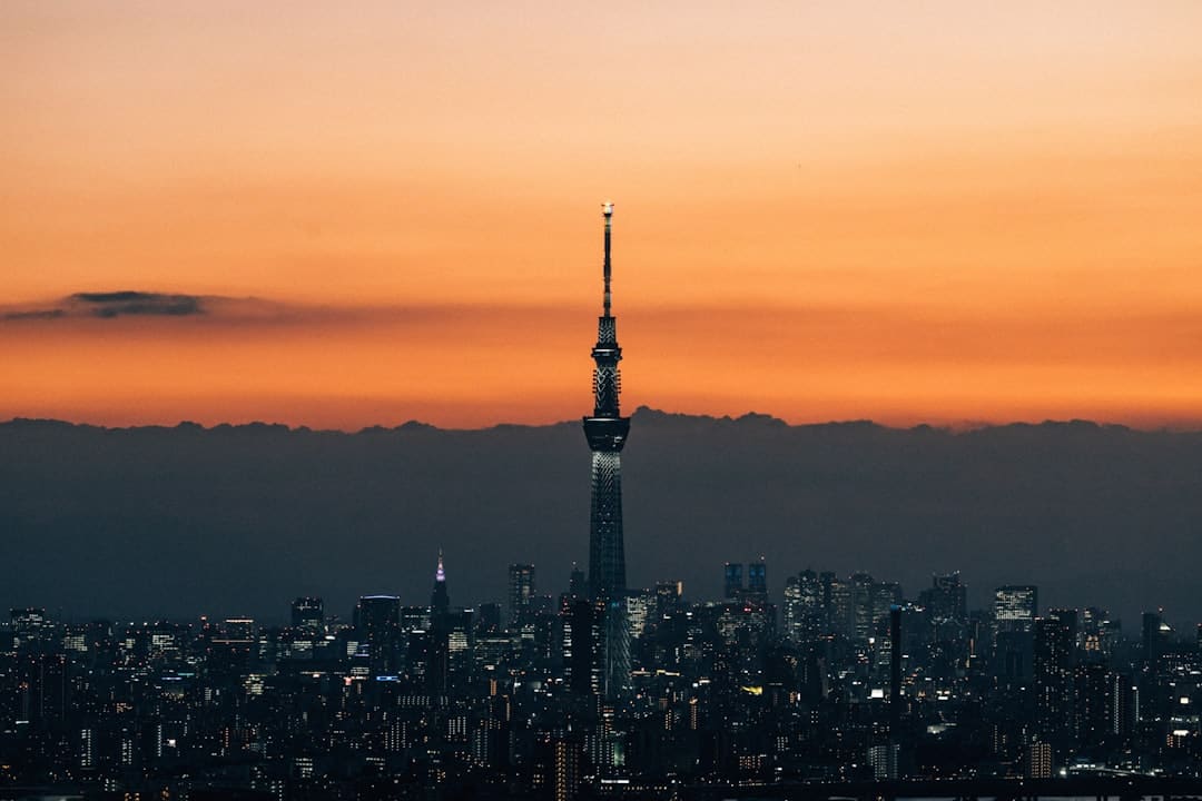 股票的危险来自何处？